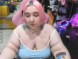 softie-sofy webcam