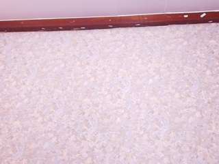 anthonela-lee-1 webcam