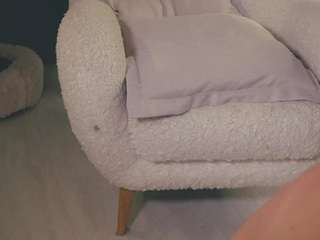 senisemorel Live Webcam on CamSoda