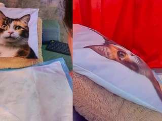 sarawolff