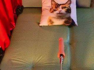 sarawolff Sex Cam Show
