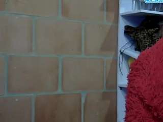 pamelapretty webcam