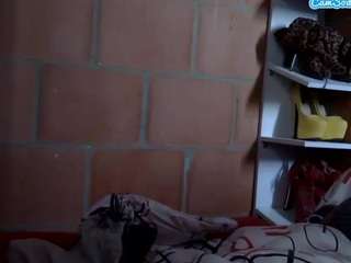 pamelapretty webcam