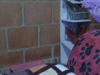 pamelapretty Live Webcam on CamSoda