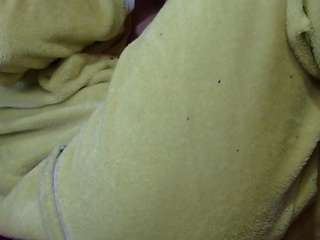 pamelapretty Sex Cam Show