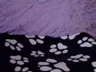 pamelapretty live webcam show