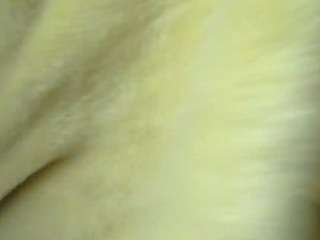 pamelapretty