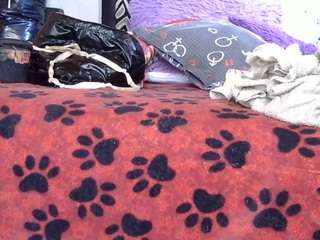 pamelapretty live cam preview