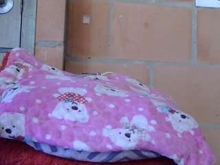 pamelapretty live cam preview