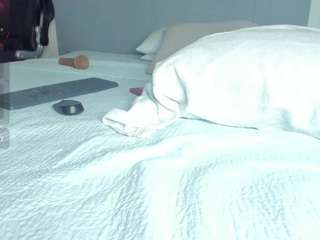 candy-millers webcam