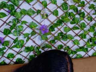 victoria-vega1 from CamSoda