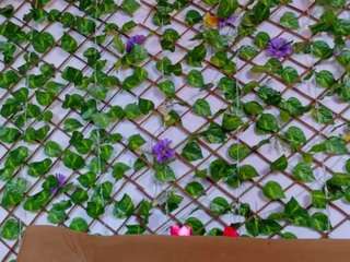 victoria-vega1 webcam