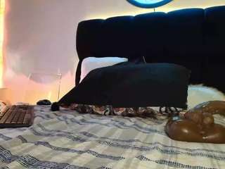 lor-queen live webcam show