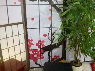 scarlett-collins webcam