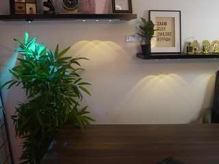 scarlett-collins webcam