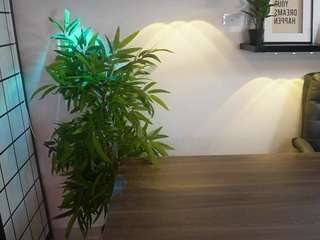 scarlett-collins webcam