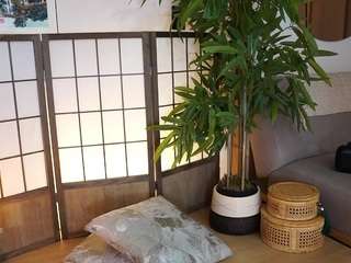 Sara
