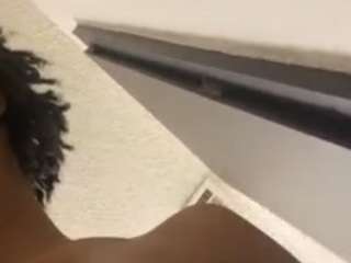 splashlitty12