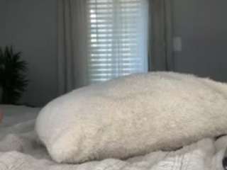 essenceblaque webcam