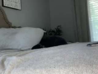 essenceblaque webcam