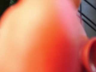 gingerpie18