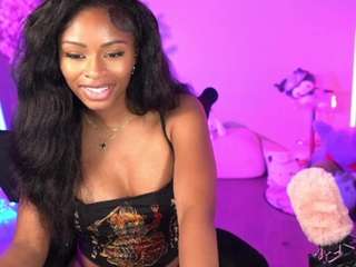 Zia live cam