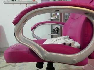 antonellakling webcam