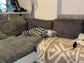 lasofialatina webcam