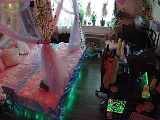 18 Live Cams camsoda voyeurcam-veccasalt-01