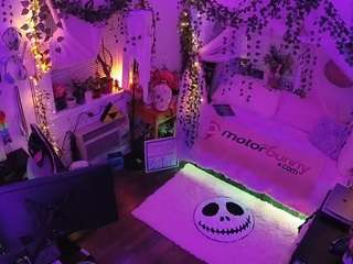 voyeurcam-veccasalt-01