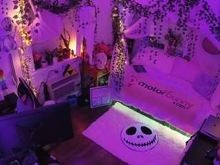 voyeurcam veccasalt 01