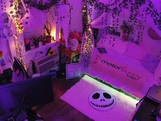 voyeurcam-veccasalt-01