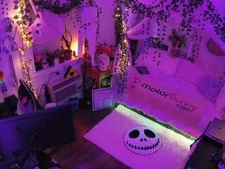 voyeurcam veccasalt 01