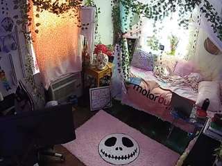 voyeurcam veccasalt 01