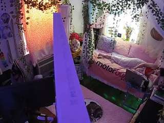 voyeurcam veccasalt 01