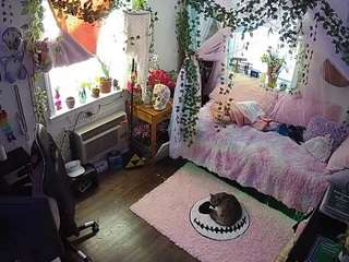 voyeurcam-veccasalt-01 webcam model