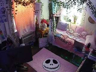 voyeurcam veccasalt 01