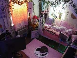 voyeurcam veccasalt 01