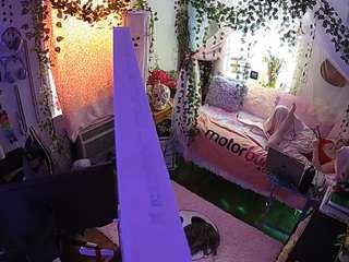 voyeurcam veccasalt 01