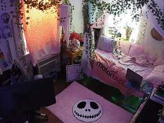 voyeurcam veccasalt 01