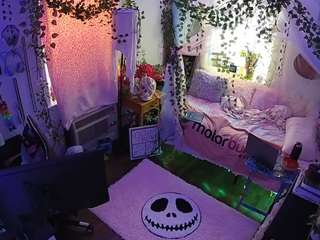 voyeurcam veccasalt 01