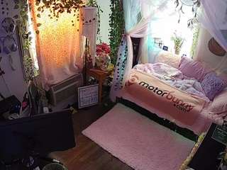 voyeurcam veccasalt 01