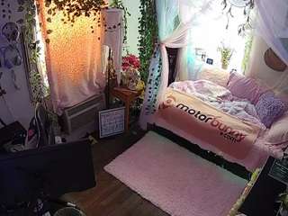 voyeurcam veccasalt 01