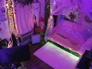 voyeurcam veccasalt 01
