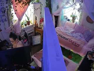 voyeurcam veccasalt 01