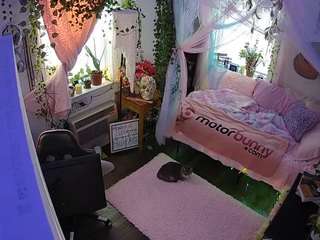 voyeurcam veccasalt 01