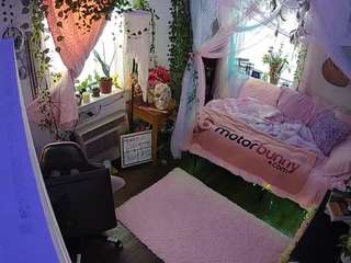 voyeurcam veccasalt 01