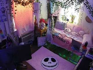 voyeurcam veccasalt 01