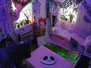 voyeurcam veccasalt 01