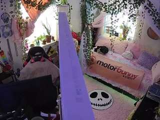 voyeurcam veccasalt 01